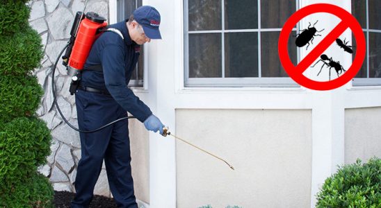 Asarlık Bit İlaçlama böcek ilaçlama ve haşere kontrolü — ilaclama-tr.com